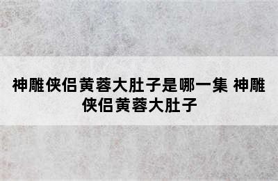 神雕侠侣黄蓉大肚子是哪一集 神雕侠侣黄蓉大肚子